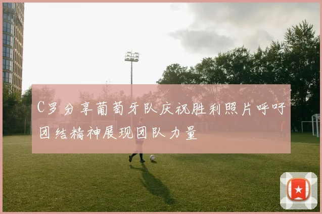 C罗分享葡萄牙队庆祝胜利照片呼吁团结精神展现团队力量